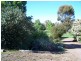 71 Montefiores Street, Wellington NSW 2820