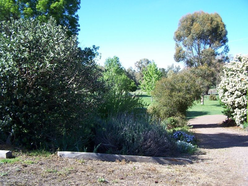 71 Montefiores Street, Wellington NSW 2820