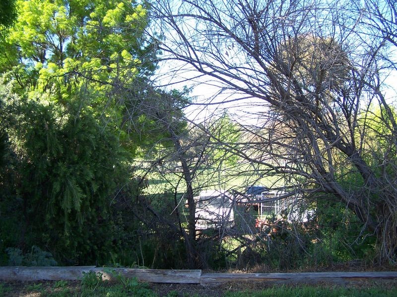 71 Montefiores Street, Wellington NSW 2820