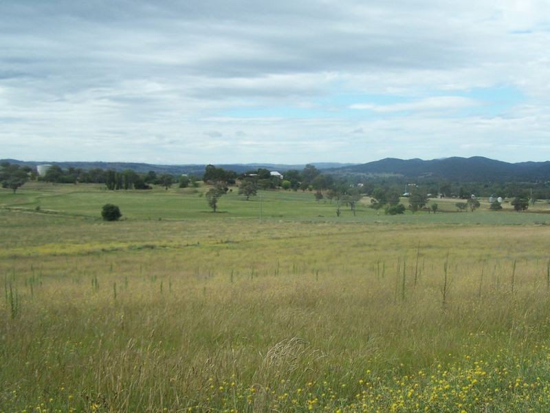 Keston Mudgee Road, Wellington NSW 2820