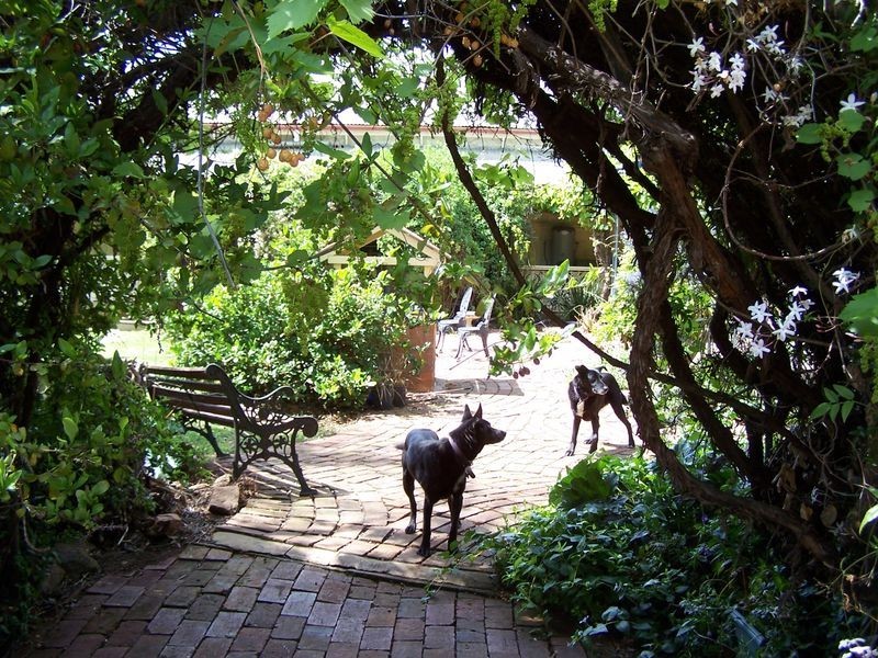 Keston Mudgee Road, Wellington NSW 2820