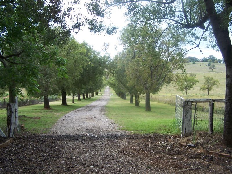 Keston Mudgee Road, Wellington NSW 2820