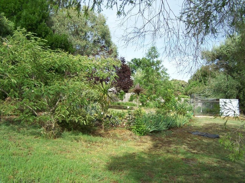 8 Riverview Avenue, Wellington NSW 2820