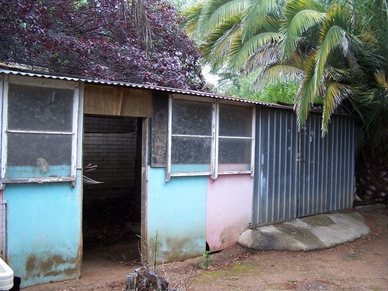 53 Whiteley Street, Wellington NSW 2820