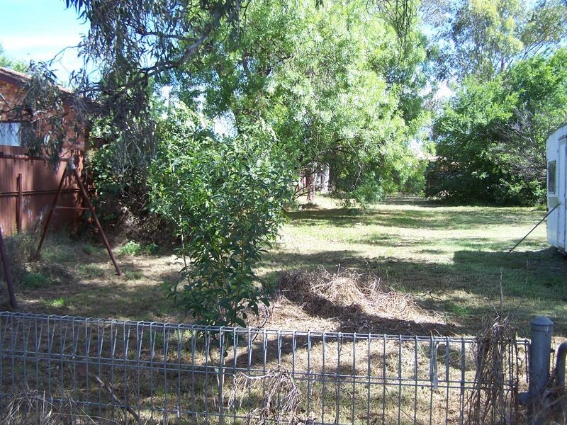 113 Gobolion Street, Wellington NSW 2820