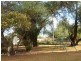 475 “Bellerive” Ponto Rd, Geurie NSW 2831