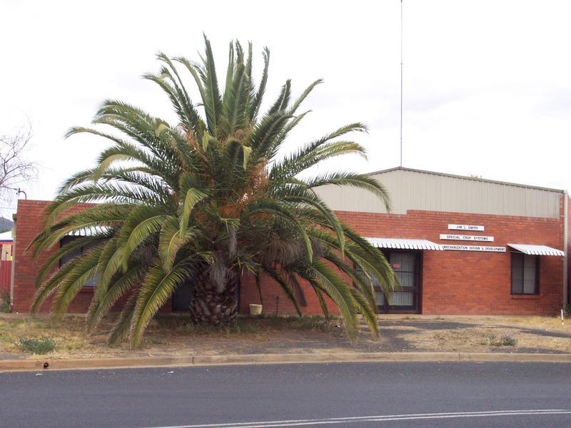 1 Warrawee Place, Wellington NSW 2820