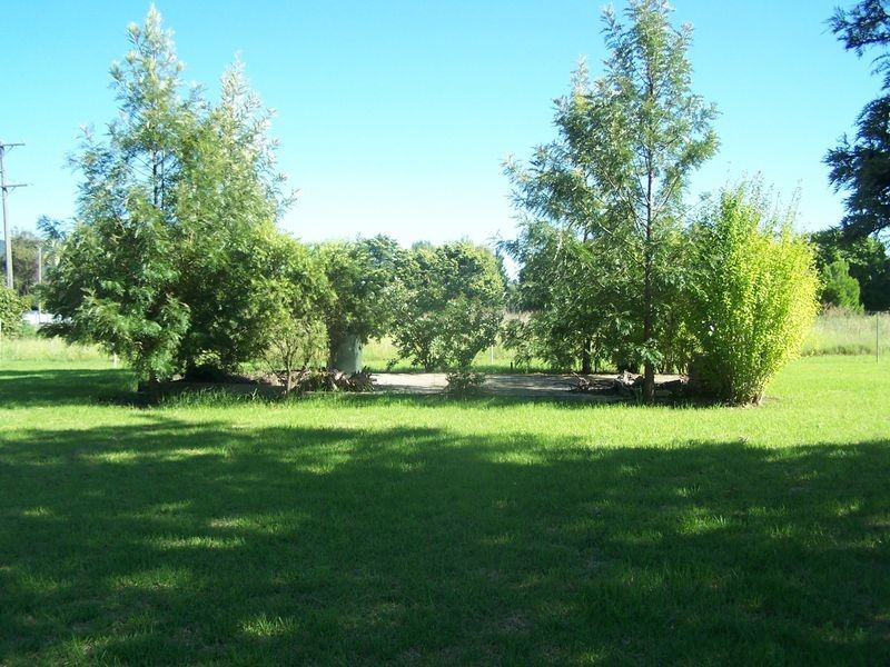 60-64 Curtis Street, Wellington NSW 2820