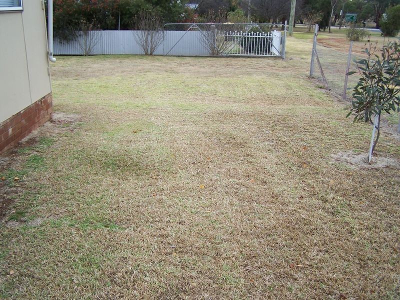 47 Forbes Street, Yeoval NSW 2868