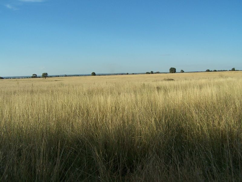 Woodlands Dunedoo Road, Wellington NSW 2820