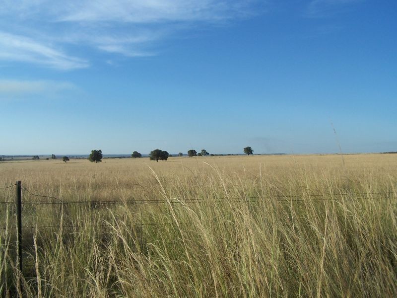 Woodlands Dunedoo Road, Wellington NSW 2820