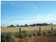 Woodlands Dunedoo Road, Wellington NSW 2820