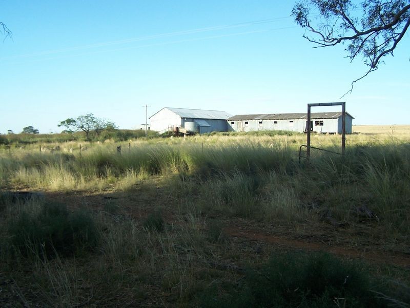 Woodlands Dunedoo Road, Wellington NSW 2820