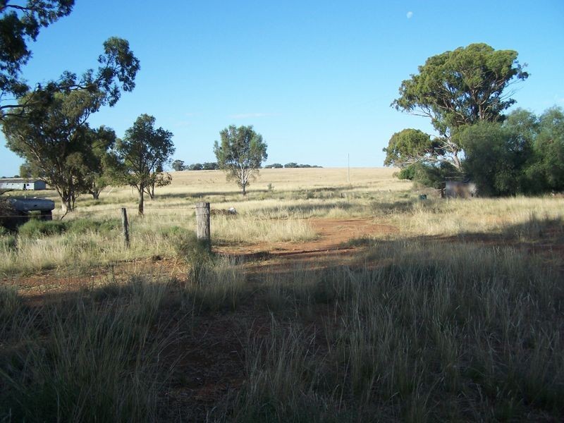 Woodlands Dunedoo Road, Wellington NSW 2820