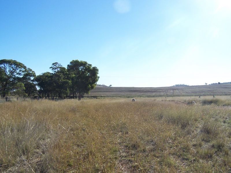 Woodlands Dunedoo Road, Wellington NSW 2820