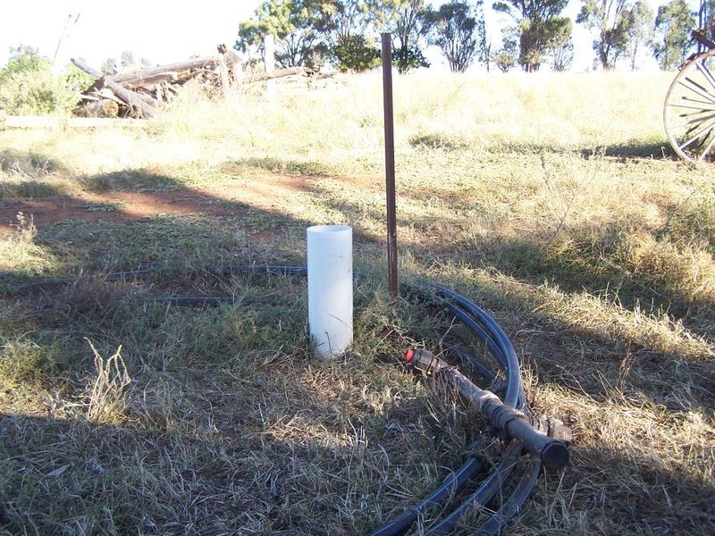 Woodlands Dunedoo Road, Wellington NSW 2820