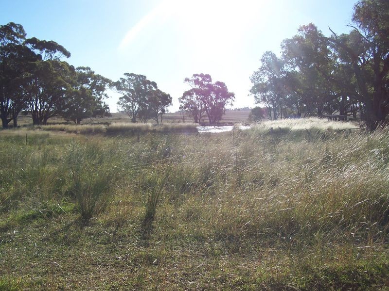 Woodlands Dunedoo Road, Wellington NSW 2820