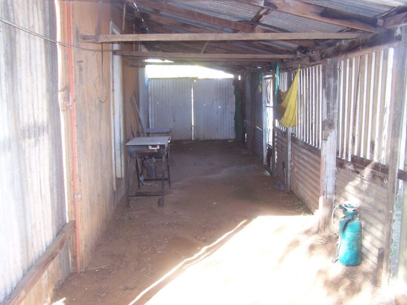 8 New Street, Wellington NSW 2820