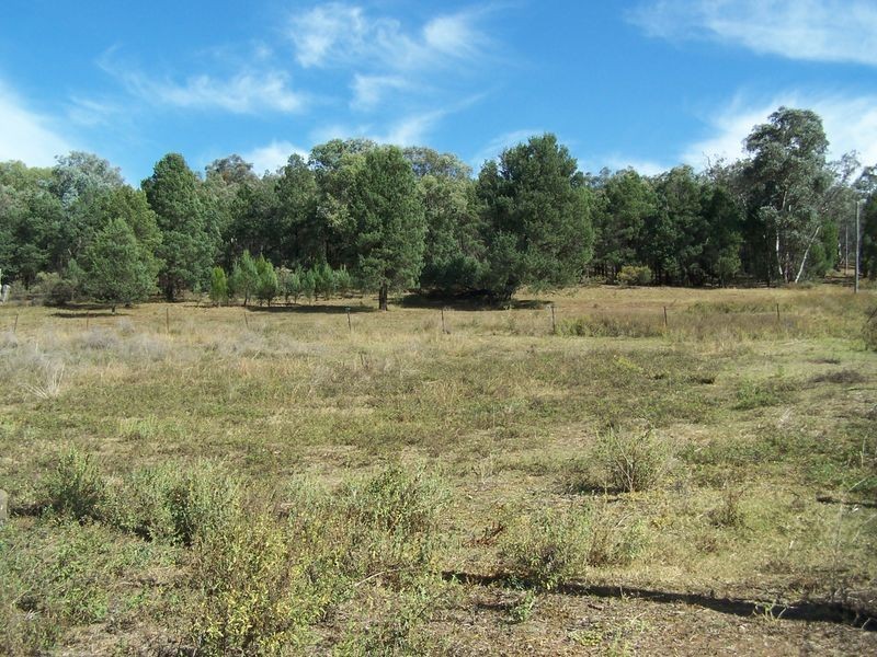 20 Oxley Avenue, Wellington NSW 2820