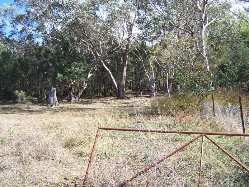 20 Oxley Avenue, Wellington NSW 2820