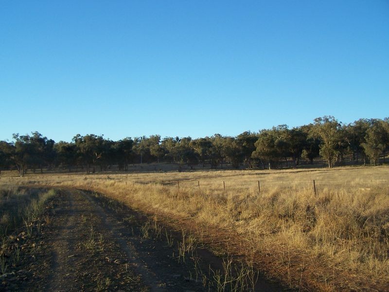 Twin Tops 9232 Mitchell Highway, Wellington NSW 2820