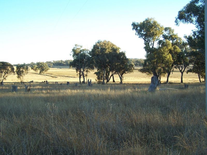 Twin Tops 9232 Mitchell Highway, Wellington NSW 2820