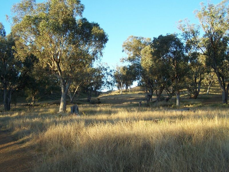 Twin Tops 9232 Mitchell Highway, Wellington NSW 2820