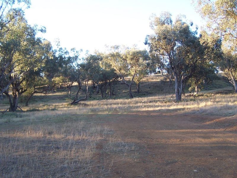 Twin Tops 9232 Mitchell Highway, Wellington NSW 2820