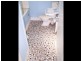 138 Maughan Street, Wellington NSW 2820