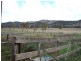 Bogart Park 205 Caves Road, Apsley NSW 2820