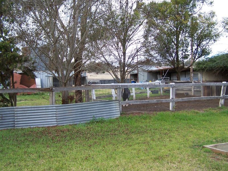Bogart Park 205 Caves Road, Apsley NSW 2820