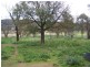 Bogart Park 205 Caves Road, Apsley NSW 2820