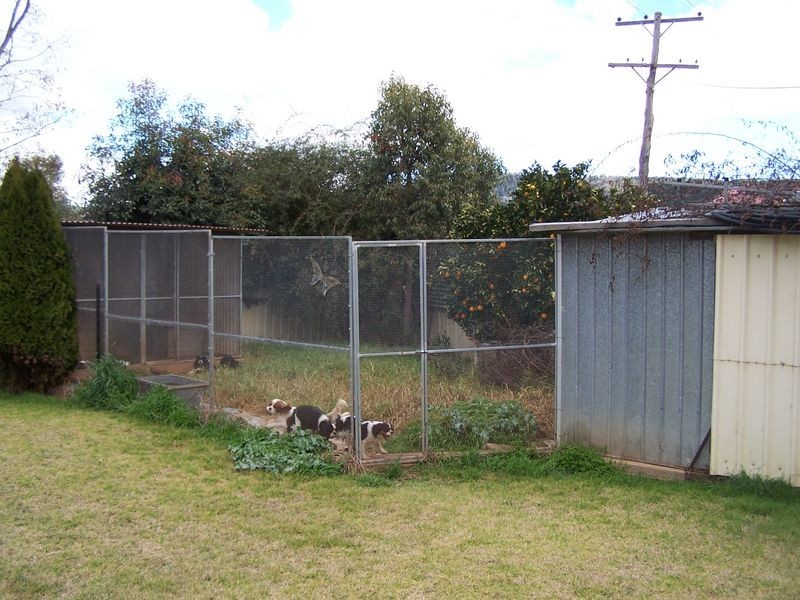 Bogart Park 205 Caves Road, Apsley NSW 2820