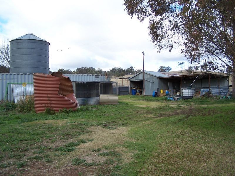 Bogart Park 205 Caves Road, Apsley NSW 2820