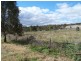 Bogart Park 205 Caves Road, Apsley NSW 2820