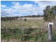 Bogart Park 205 Caves Road, Apsley NSW 2820
