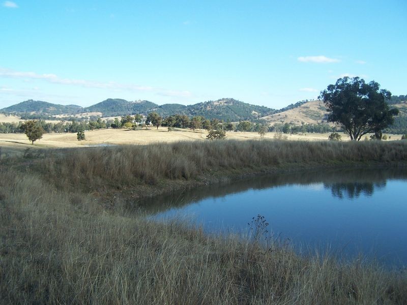 The Wuuluman, Wellington NSW 2820