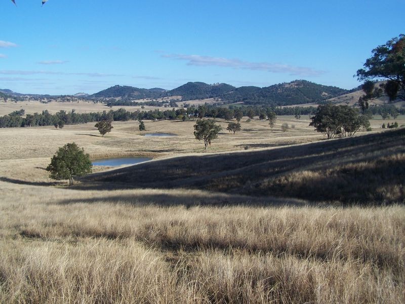 The Wuuluman, Wellington NSW 2820