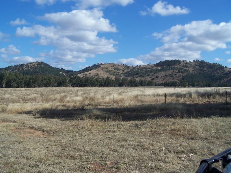 The Wuuluman, Wellington NSW 2820