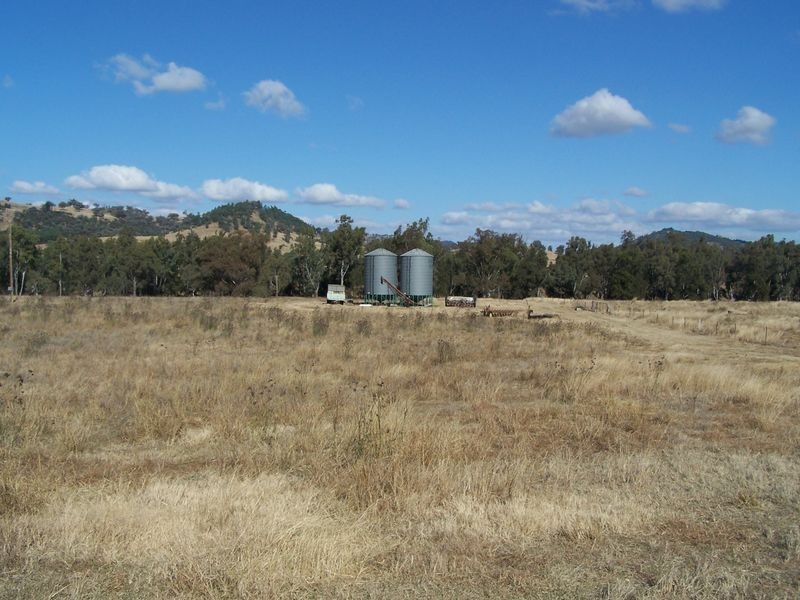 The Wuuluman, Wellington NSW 2820