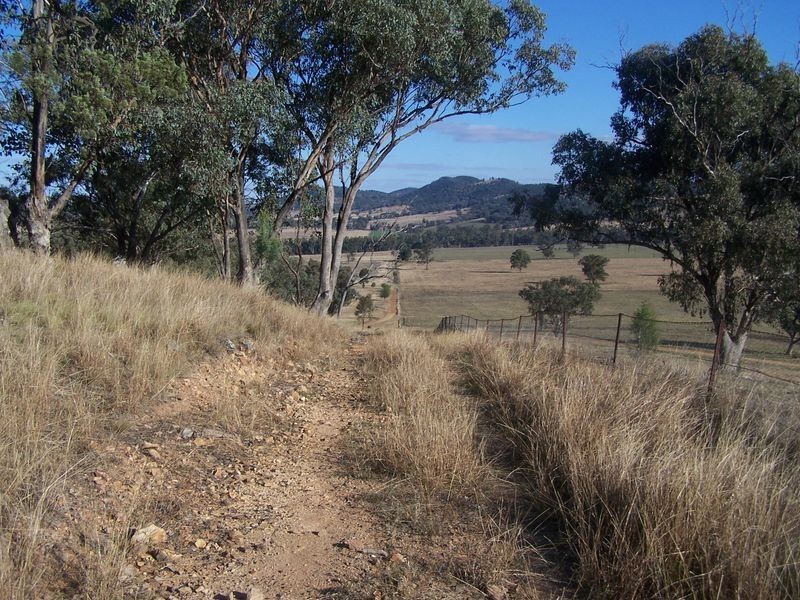 The Wuuluman, Wellington NSW 2820