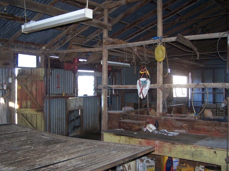 The Wuuluman, Wellington NSW 2820