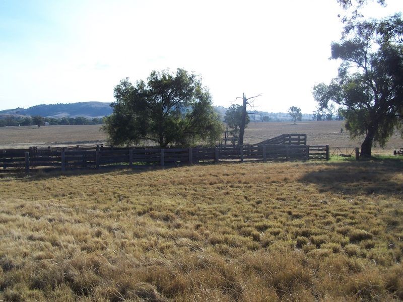 The Wuuluman, Wellington NSW 2820