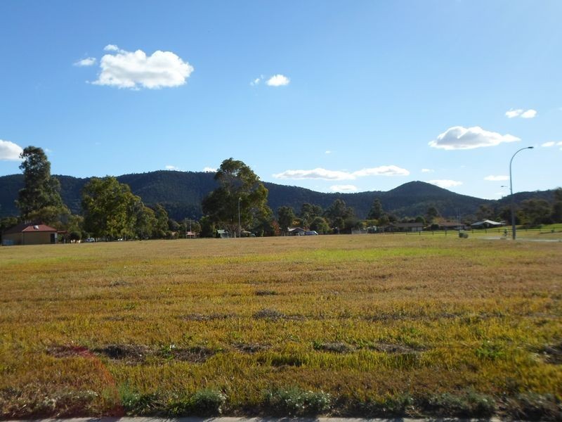 24 Grevillia Place, Wellington NSW 2820