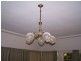 106 Warne Street, Wellington NSW 2820