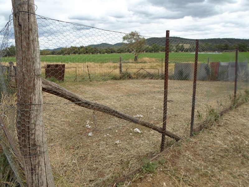 119 Curtis Street, Wellington NSW 2820