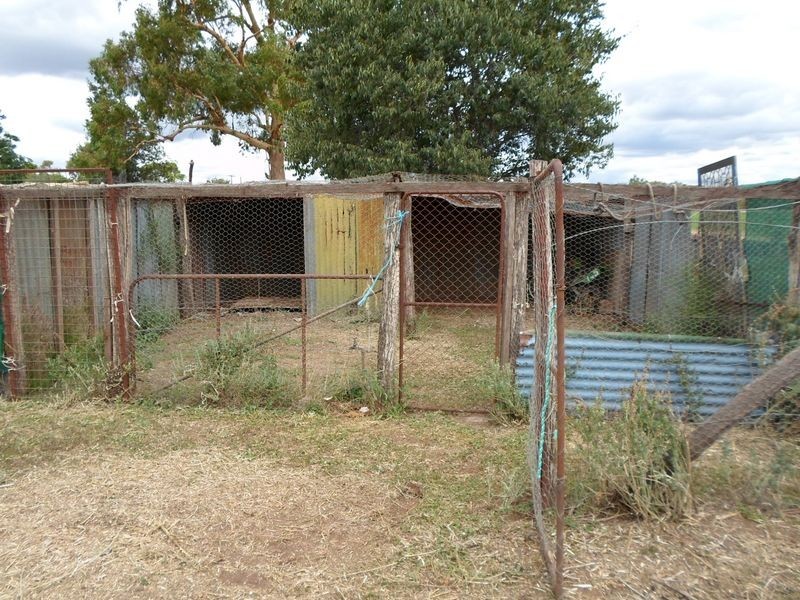 119 Curtis Street, Wellington NSW 2820