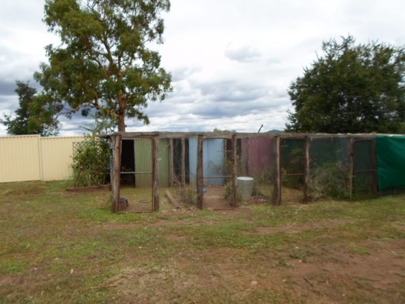 119 Curtis Street, Wellington NSW 2820