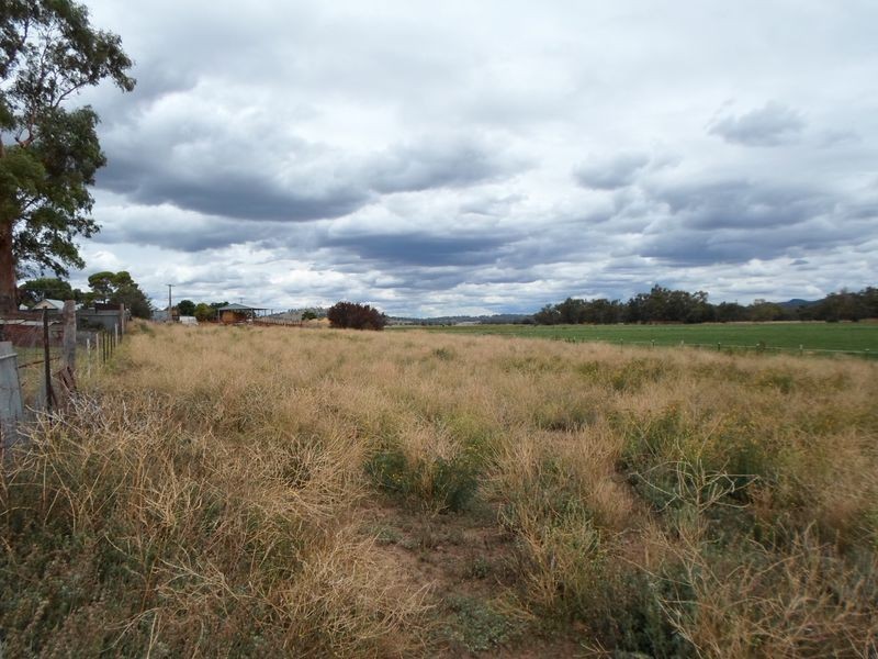 119 Curtis Street, Wellington NSW 2820