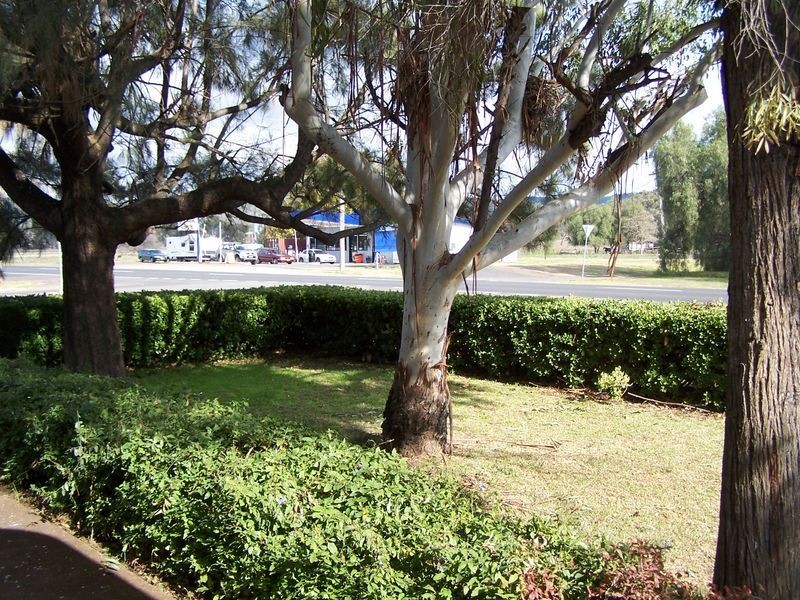 156 Arthur Street, Wellington NSW 2820